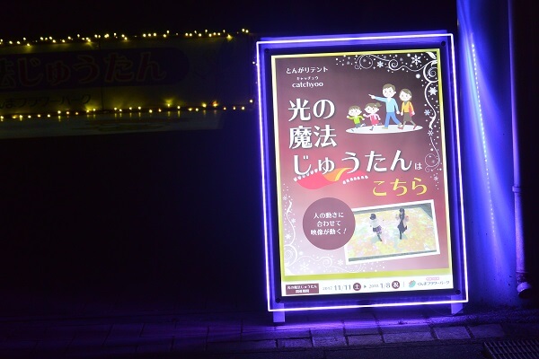 群馬県前橋市 ぐんまフラワーパーク イルミネーション 妖精たちの楽園 日本夜景遺産