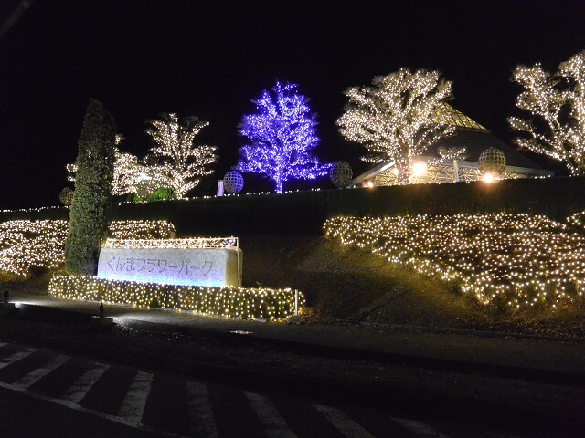 群馬県前橋市 ぐんまフラワーパーク イルミネーション 妖精たちの楽園 日本夜景遺産