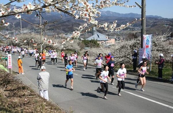 群馬県高崎市 TAKASAKICITYはるな梅マラソン 開催