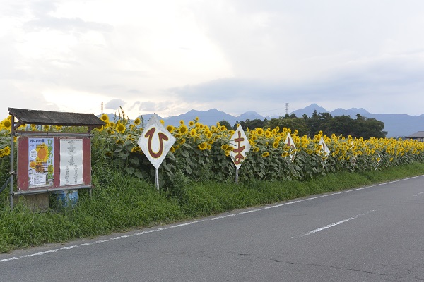 群馬県高崎市 はにわの里ひまわり迷路 上毛野はにわの里 アクセス 行き方