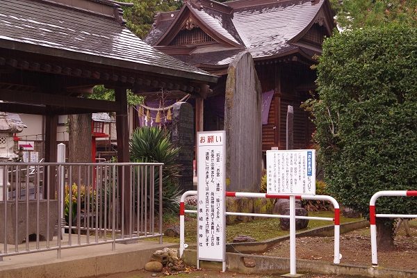群馬県伊勢崎市小泉町 小泉稲荷神社大鳥居 小泉コスモスまつり