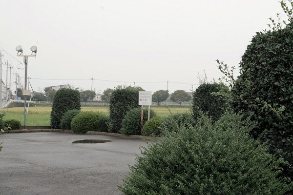 群馬県伊勢崎市小泉町 小泉稲荷神社大鳥居 小泉コスモスまつり