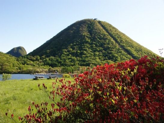 群馬県 つつじ 名所 おすすめ 観光