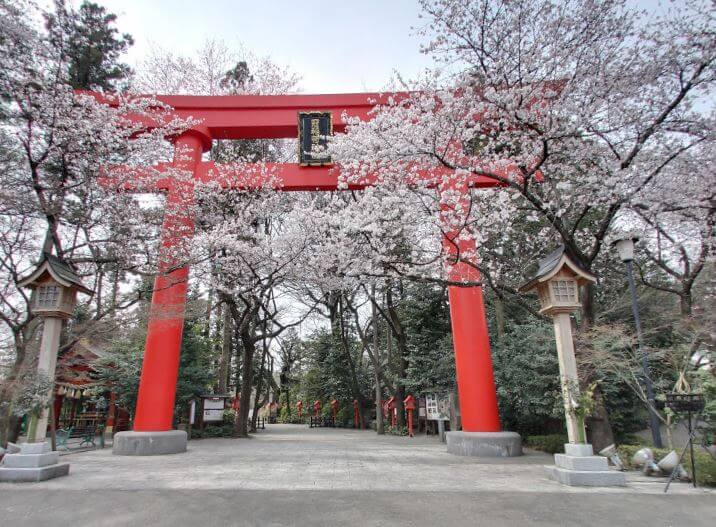 群馬 合格祈願 神社