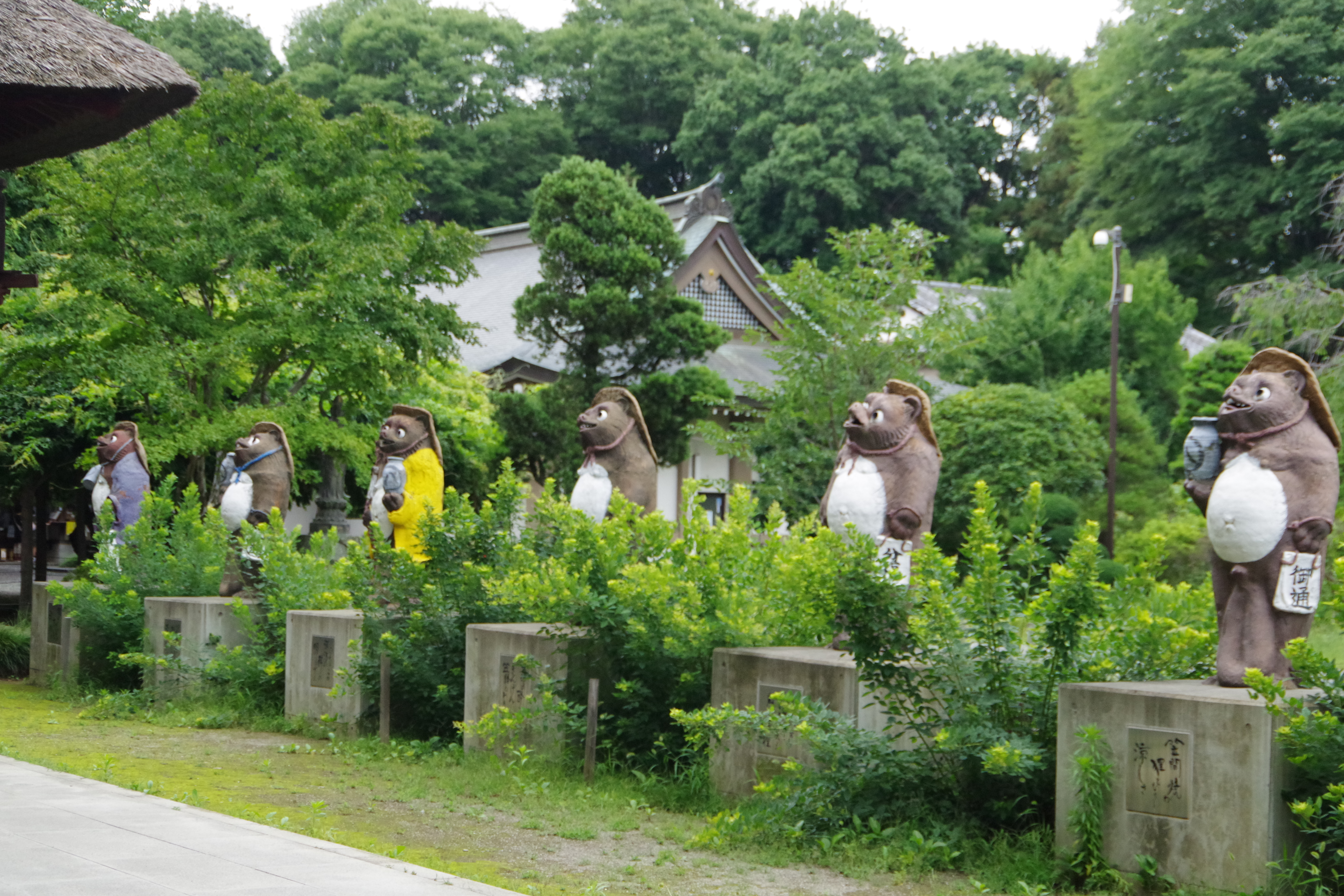 茂林寺で強運の象徴たぬきのご利益をゲット お土産や周辺観光も必見