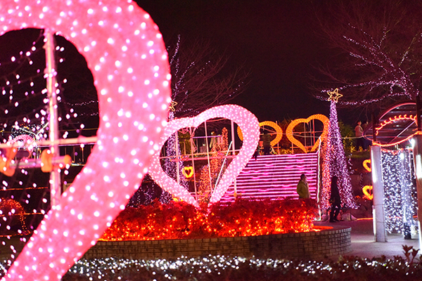 年開催中止 いせさきイルミネーションin華蔵寺 クリスマスデートは光のなかで