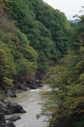 高津戸峡　はねこし橋　関東の耶馬渓
