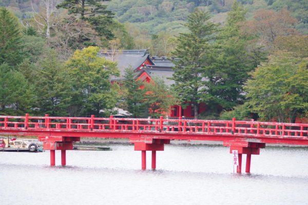 赤城神社　啄木鳥橋