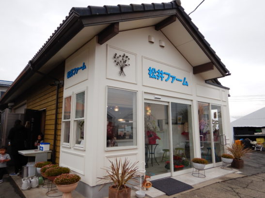 前橋市 松井ファーム いちご狩り