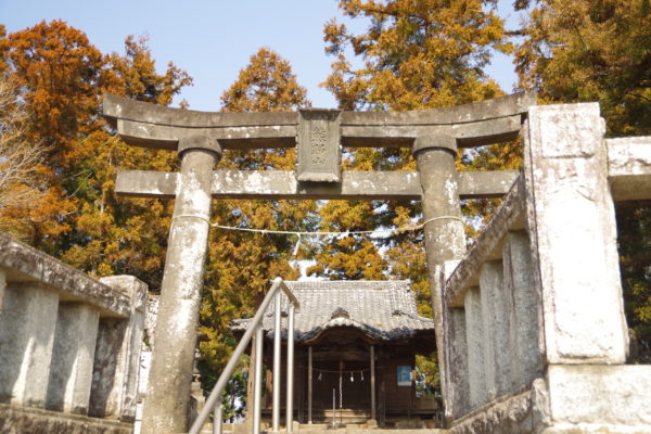 群馬 河津桜 名所 花見スポット