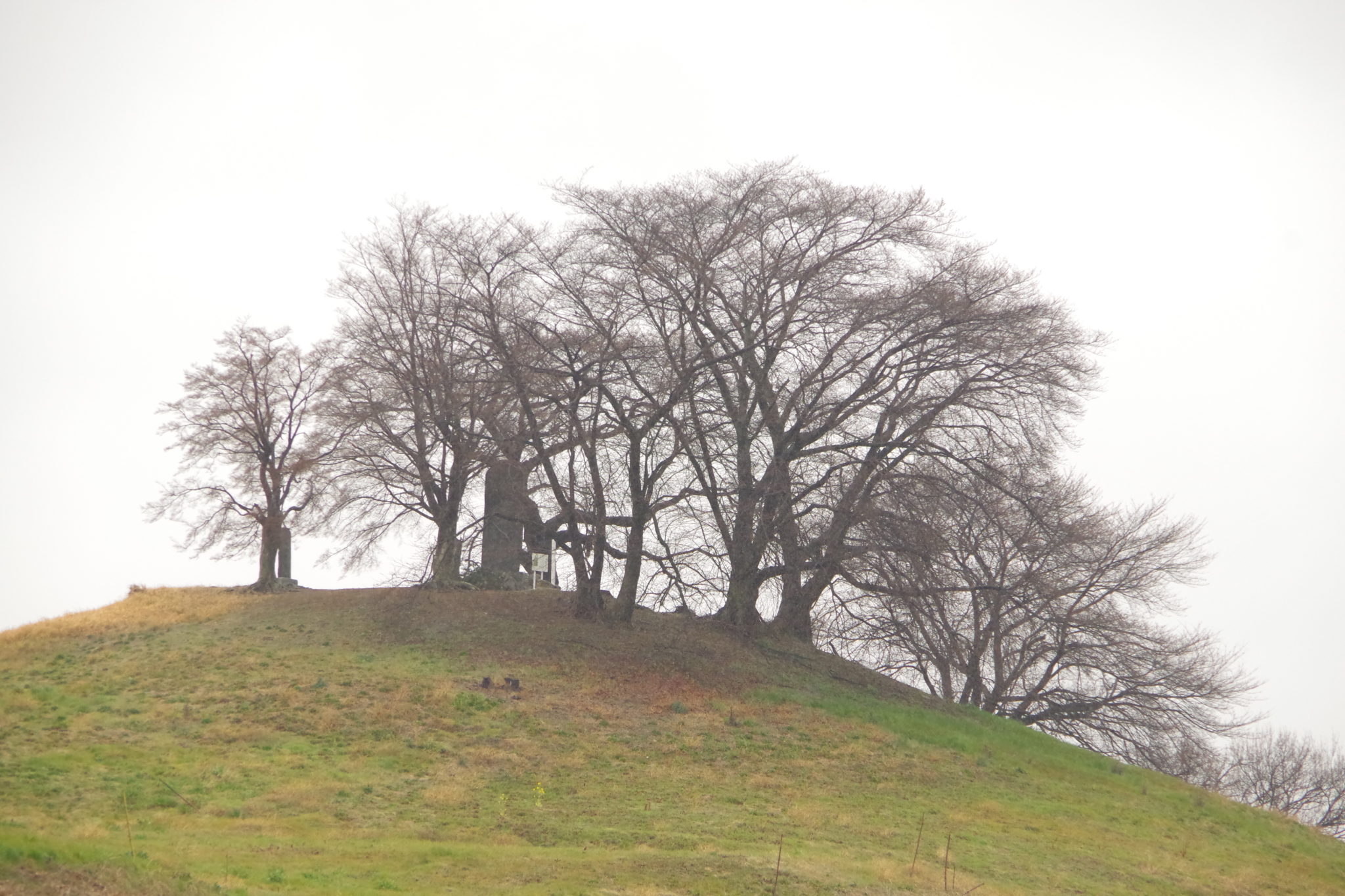 国指定史跡「白石稲荷山古墳」は桜が美しいインスタ映えスポット！古墳・歴史好きも必見