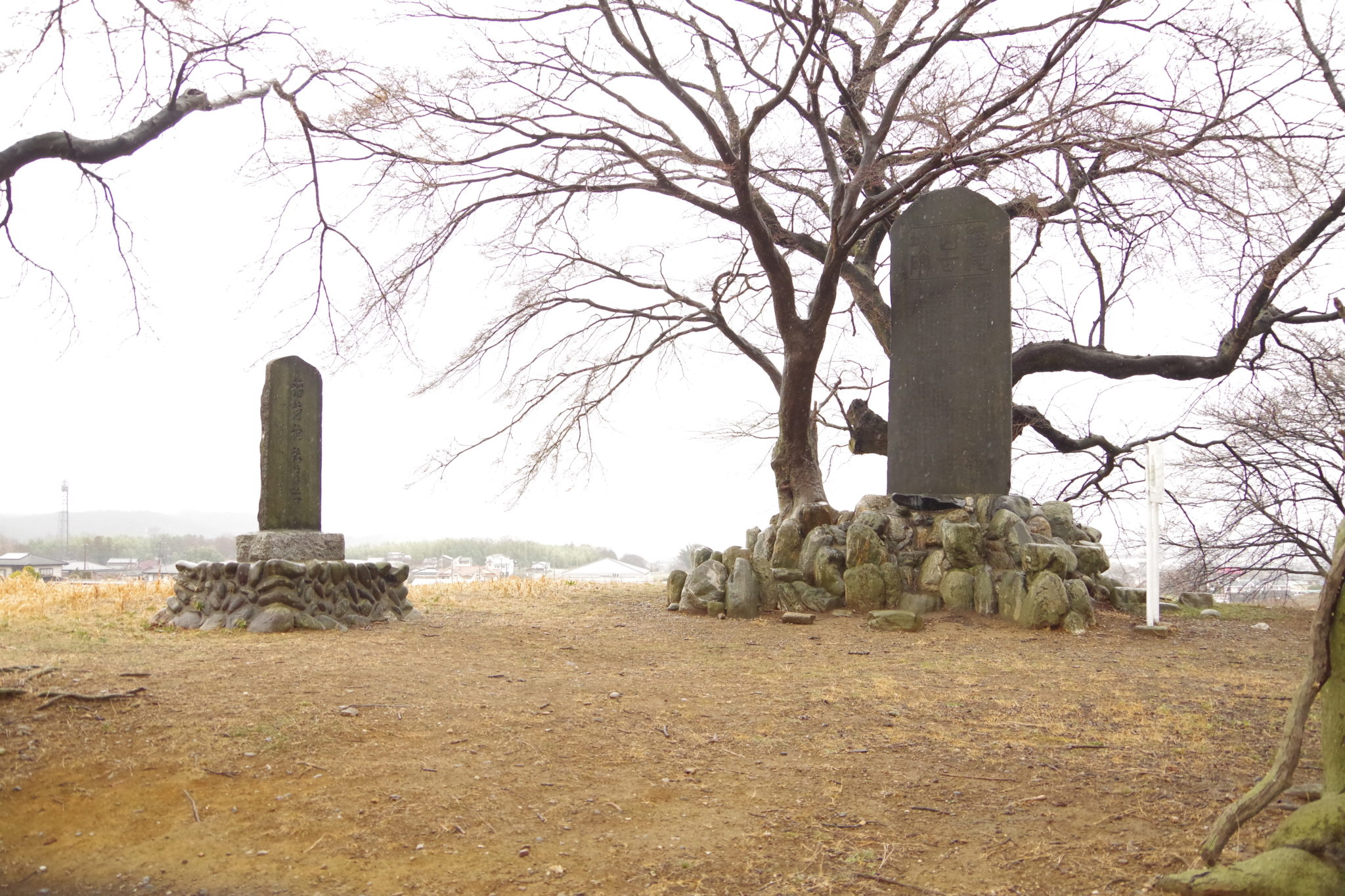 国指定史跡「白石稲荷山古墳」は桜が美しいインスタ映えスポット！古墳・歴史好きも必見