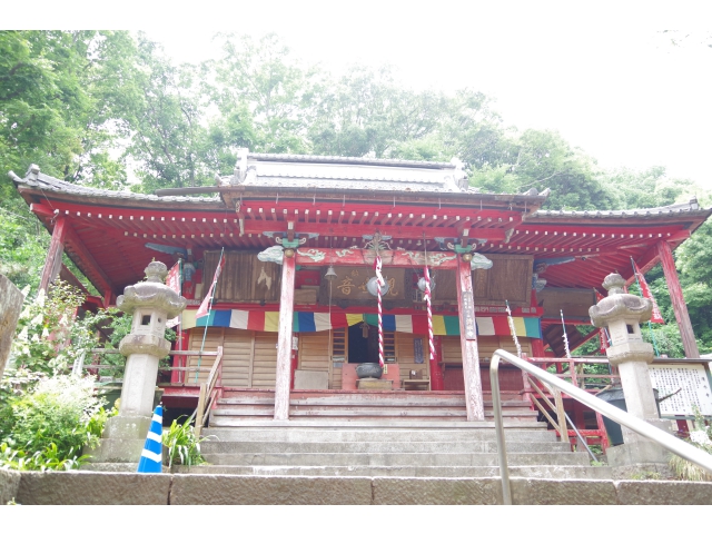 群馬県高崎市石原町 清水寺 あじさい