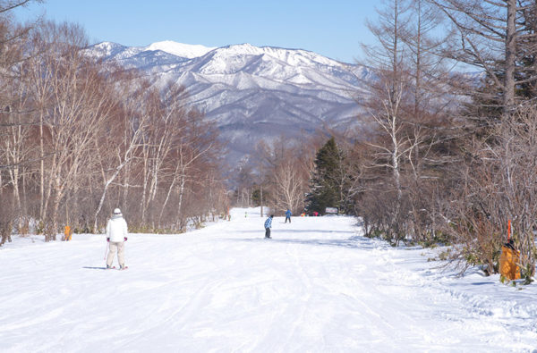草津温泉スキー場 いつから オープン リフト券 アクセス おすすめ コース ゲレンデ