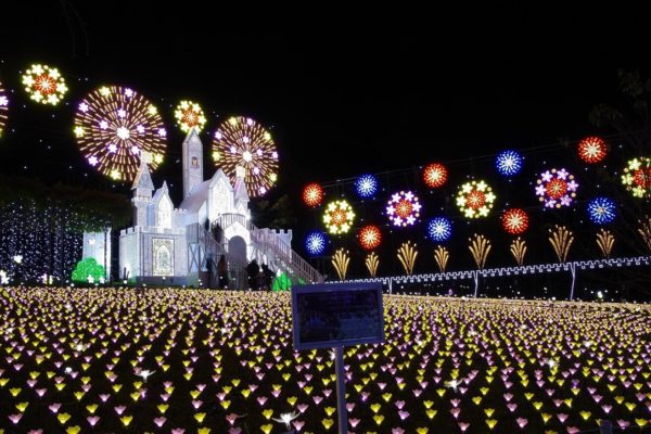 栃木県足利市 あしかがフラワーパーク イルミネーション 奇跡の大藤 光の花の庭 日本三大イルミネーション 期間 2022 時間 混雑 入園料 割引 予約必要 無料