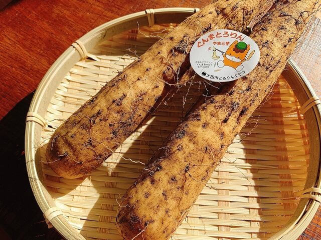 ぐんまとろりん 太田市 ヤマトイモ 青空レストラン 食彩の王国