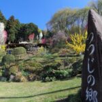 赤城山のツツジ 郡馬屈指の名所 開花情報や見頃は 新緑 つつじweekも開催 前橋市富士見町 赤城山のツツジ 郡馬屈指の名所 開花情報や見頃は 新緑 つつじweekも開催 前橋市富士見町