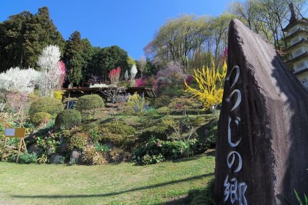 高崎市 みさとつつじの郷