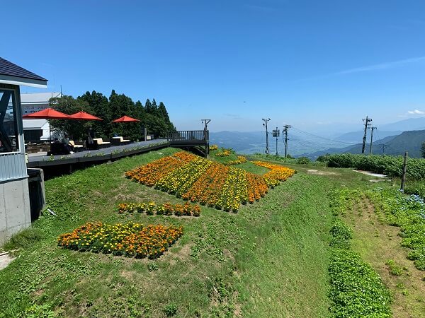 湯沢高原ロープウェイ 割引 料金 駐車場 レストラン 雲の上のカフェ 恋人の聖地