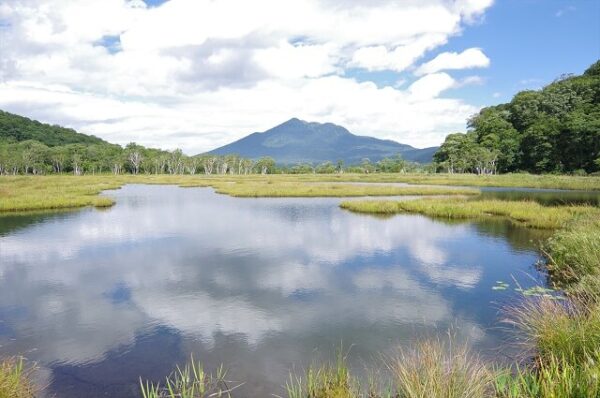 群馬県片品村鎌田 上毛かるたゆかりの地をめぐる旅 仙境尾瀬沼花の原 尾瀬かたしな 味創り雪月花 万里姫どうふ