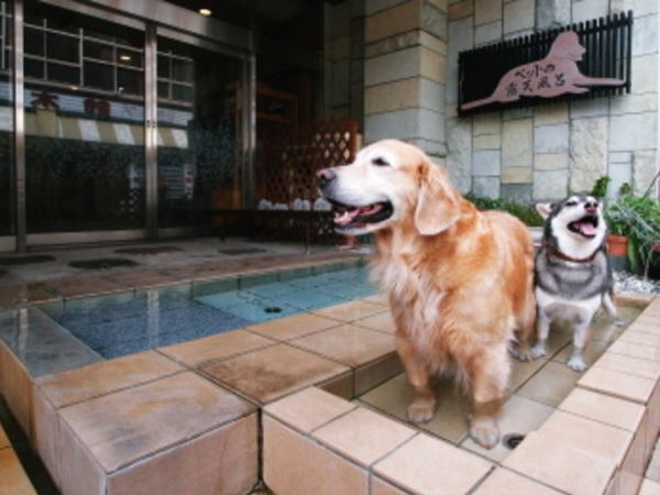 群馬 ペットと泊まれる宿 ホテル 犬 ランキング コテージ