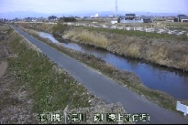 早川 徳川橋ライブカメラ