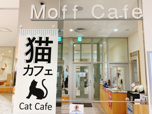 高崎オーパ4階 モフアニマルカフェ 猫カフェ メニュー 口コミ ネコカフェ