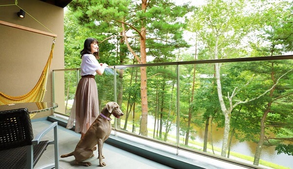 軽井沢 ペットと泊まれる ペット可 ホテル ランキング 安い 高級 コテージ