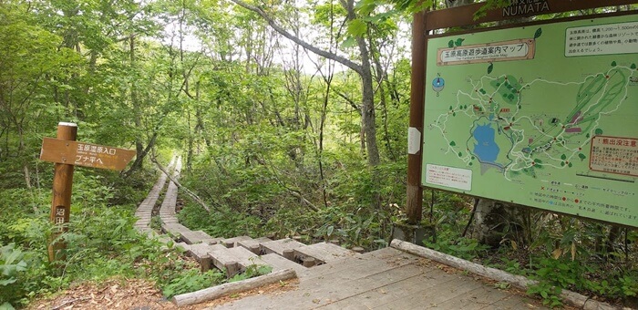 群馬県沼田市 観光 スポット 穴場 おすすめ 神社 公園 ダム 天然記念物 温泉