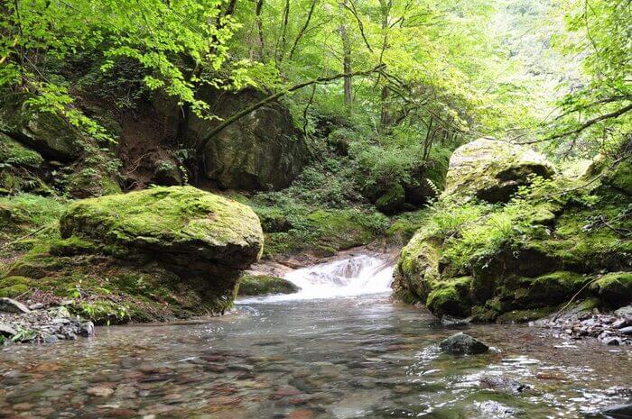 群馬県 釣り堀 安い おすすめ 手ぶら 釣り放題