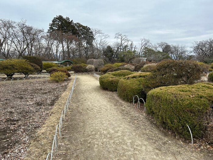 群馬県沼田市西倉内町594 沼田公園 桜 遊び場 水遊び 遊具 動物 広場 トイレ アクセス 行き方 駐車場