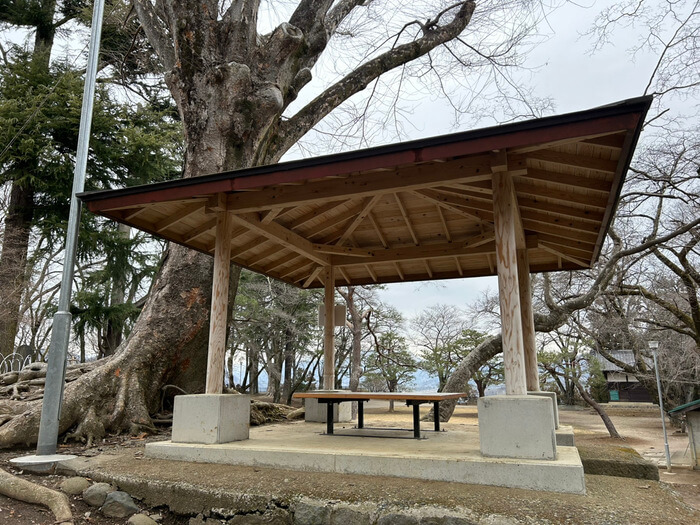 群馬県沼田市西倉内町594 沼田公園 桜 遊び場 水遊び 遊具 動物 広場 トイレ アクセス 行き方 駐車場