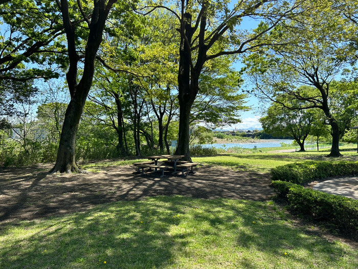 群馬県高崎市萩原町1008 大利根緑地 写真 公園 バーベキュー場 無料 バーベキューしていい公園 アクセス 行き方 駐車場