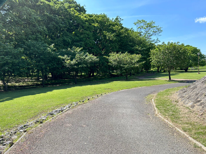 群馬県佐波郡玉村町角渕2022-2 水辺の森公園 駐車場 角渕キャンプ場 トイレ 予約 アクセス 行き方 口コミ 評判 レビュー