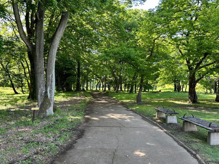 群馬県佐波郡玉村町角渕2022-2 水辺の森公園 駐車場 角渕キャンプ場 トイレ 予約 アクセス 行き方 口コミ 評判 レビュー