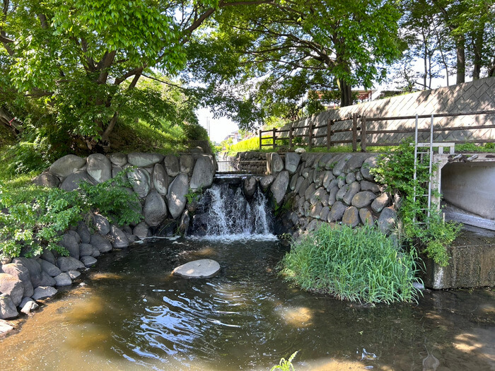 群馬県佐波郡玉村町角渕2022-2 水辺の森公園 駐車場 角渕キャンプ場 トイレ 予約 アクセス 行き方 口コミ 評判 レビュー