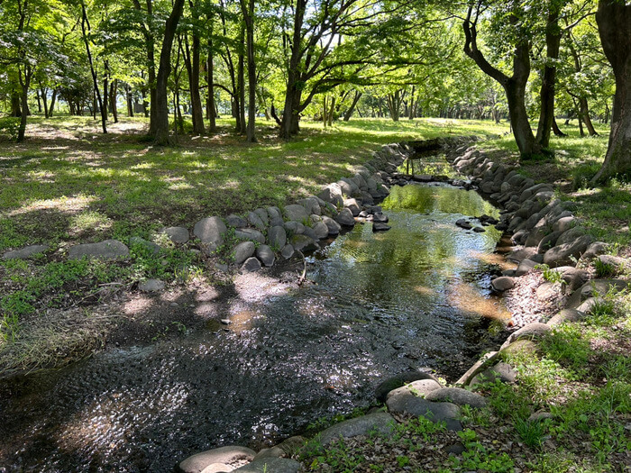 群馬県佐波郡玉村町角渕2022-2 水辺の森公園 駐車場 角渕キャンプ場 トイレ 予約 アクセス 行き方 口コミ 評判 レビュー