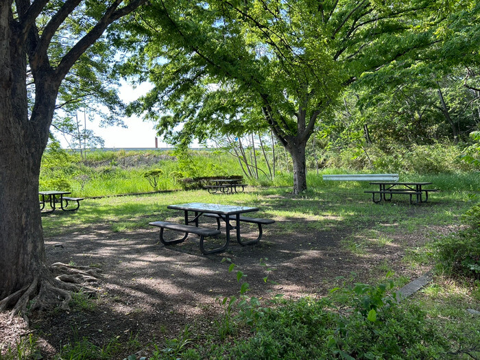 群馬県佐波郡玉村町下之宮668 玉村町東部スポーツ広場公園 クチコミ 予約 BBQ場 駐車場 トイレ アクセス 行き方 評判 レビュー