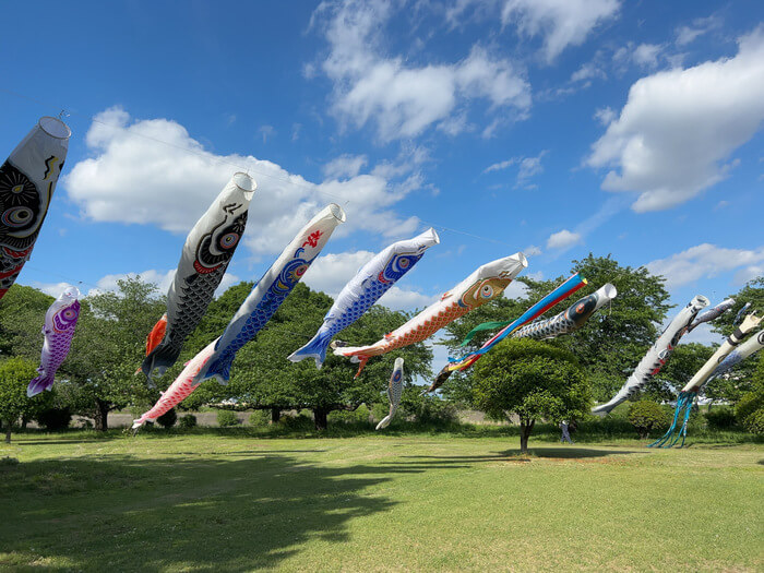 群馬県佐波郡玉村町下之宮668 玉村町東部スポーツ広場公園 クチコミ 予約 BBQ場 駐車場 トイレ アクセス 行き方 評判 レビュー