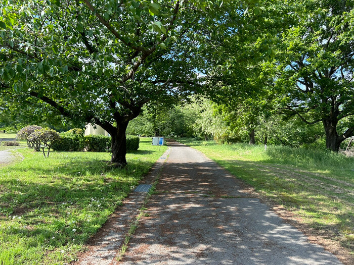 群馬県佐波郡玉村町下之宮668 玉村町東部スポーツ広場公園 クチコミ 予約 BBQ場 駐車場 トイレ アクセス 行き方 評判 レビュー