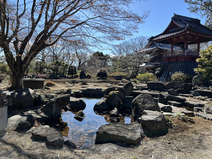 群馬県渋川市赤城町津久田237 福増寺 桜 御朱印 庭園 アクセス 行き方 駐車場 ご利益 レビュー 口コミ 評判