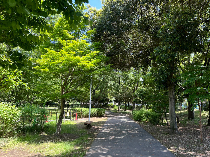 群馬県伊勢崎市馬見塚町1808-1 子供のもり公園 駐車場 遊び場 室内 一覧 クチコミ 評判 レビュー アスレチック 大きい