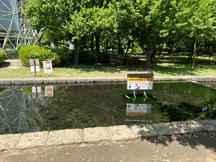 群馬県伊勢崎市馬見塚町1808-1 子供のもり公園 駐車場 遊び場 室内 一覧 クチコミ 評判 レビュー アスレチック 大きい