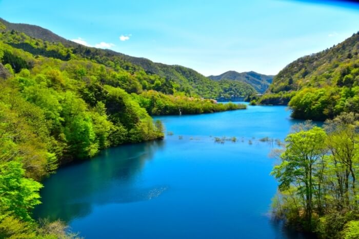 群馬県 避暑地 おすすめ 長野県 軽井沢 関東 穴場 温泉