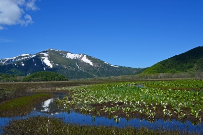 群馬県 避暑地 おすすめ 長野県 軽井沢 関東 穴場 温泉