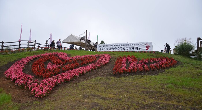 群馬県吾妻郡嬬恋村 キャベツ畑の中心で妻に愛を叫ぶ キャベチュー