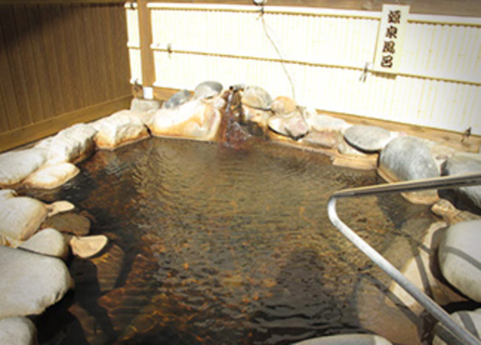 群馬県 高崎市 高崎駅 銭湯 スーパー銭湯 日帰り温泉 サウナ