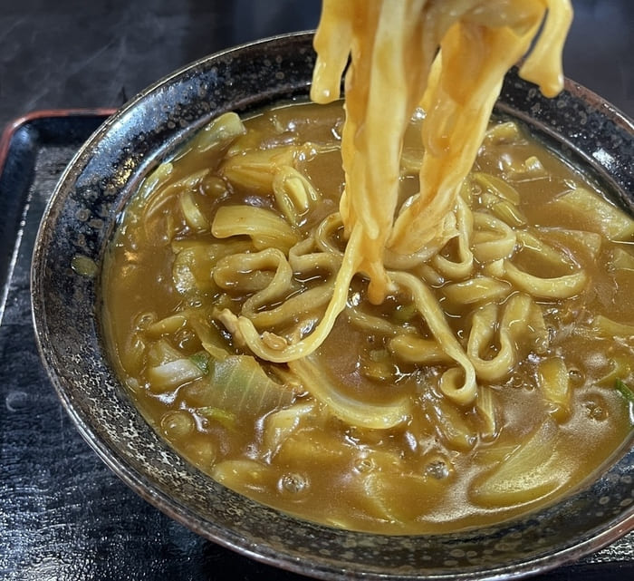 群馬県高崎市 うどん おすすめ