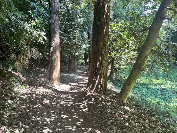 木曽三社神社 群馬県渋川市北橘町下箱田1 御朱印 湧き水 スピリチュアル レビュー アクセス 行き方 駐車場 トイレ