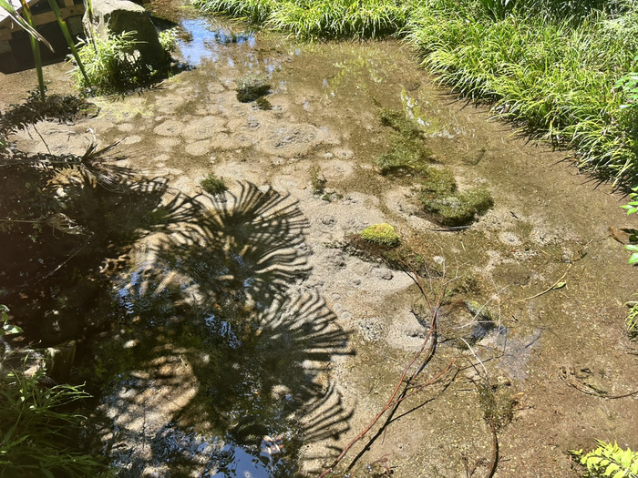 木曽三社神社 群馬県渋川市北橘町下箱田1 御朱印 湧き水 スピリチュアル レビュー アクセス 行き方 駐車場 トイレ